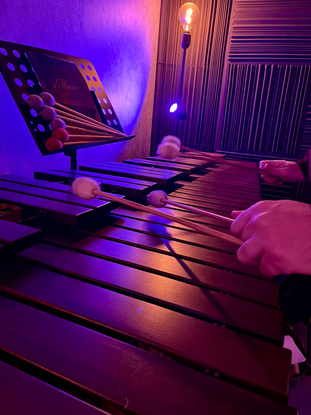 Quando il VPStudio prende&nbsp;vita